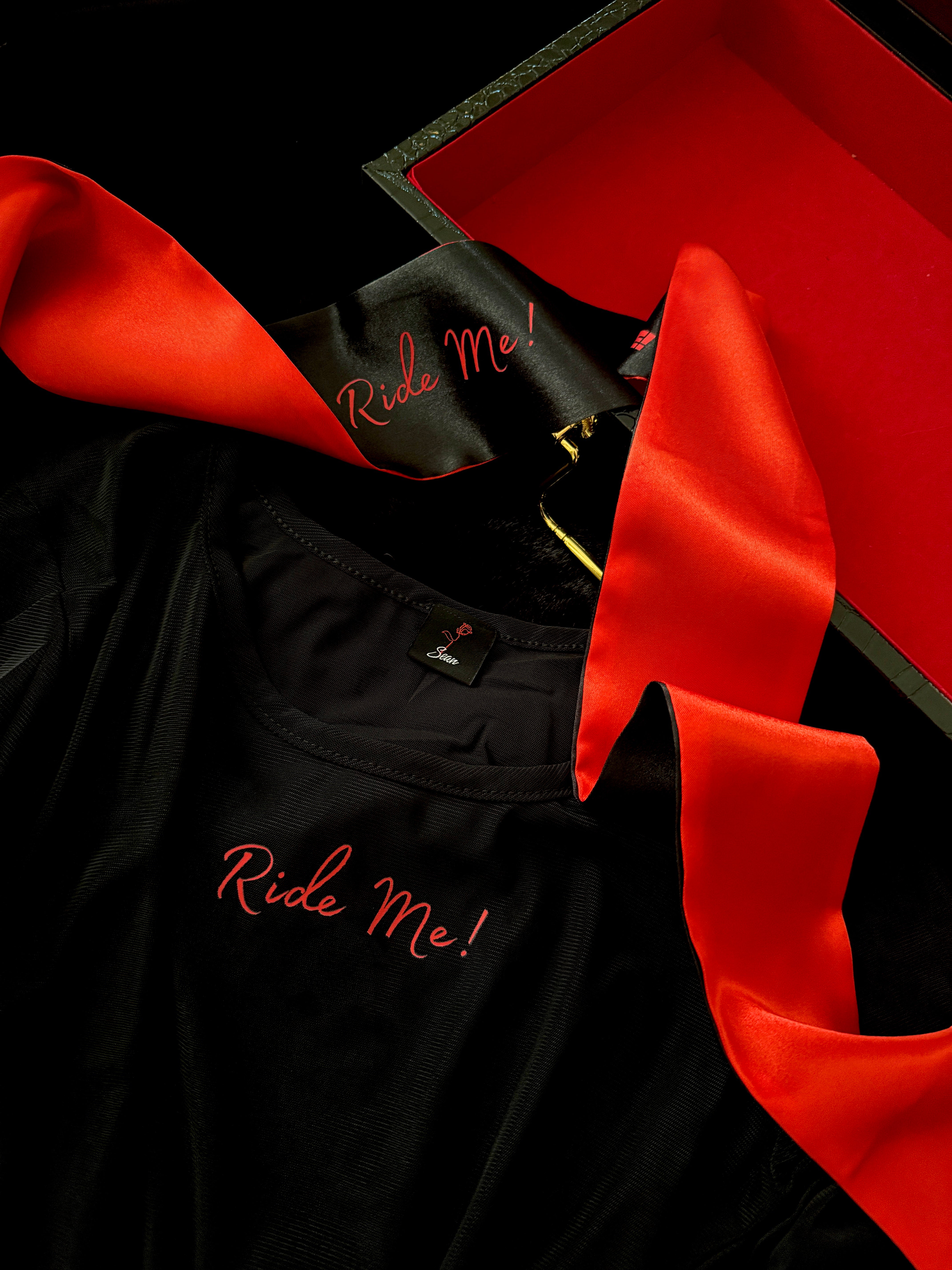 "Ride Me " Mesh Long Sleeve Top